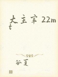 大主宰 22mt