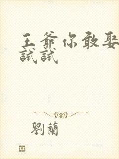 王爷你敢娶小三试试