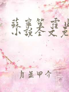 苏宁笙 霍止行小说全文免费阅读