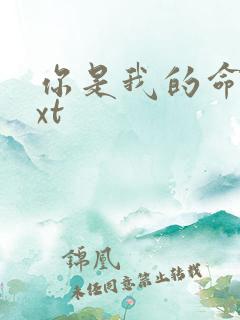 你是我的命运txt