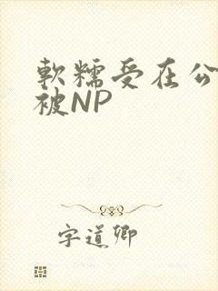 软糯受在公交车被NP