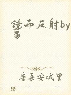 镜面反射by九葛