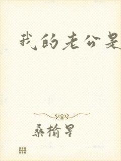 我的老公是魔王