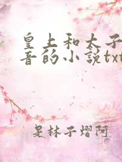 皇上和太子妃沈音的小说txt