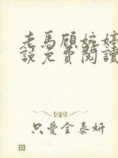 老马顾婉婷的小说免费阅读