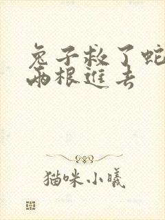 兔子救了蛇被蛇两根进去