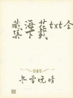 藏海花txt全集下载