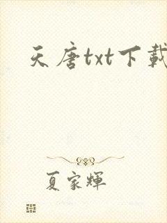 天唐txt下载