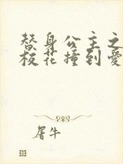 替身公主之杀手校花撞到爱