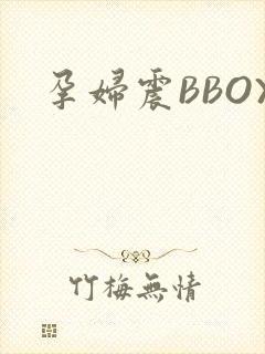孕妇震BBOX