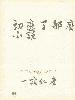 初恋了那么多年小说