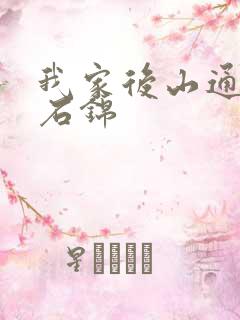 我家后山通仙界石锦