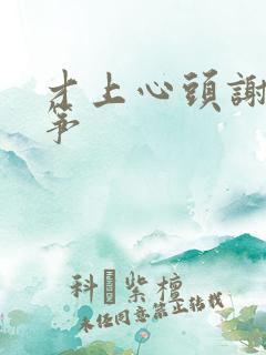 才上心头谢柳陆筝