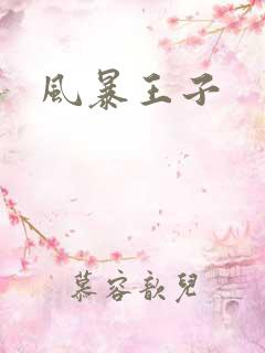 风暴王子