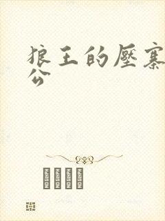 狼王的压寨小相公