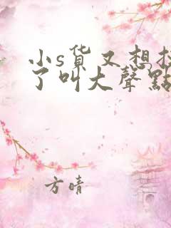 小s货又想挨c了叫大声点
