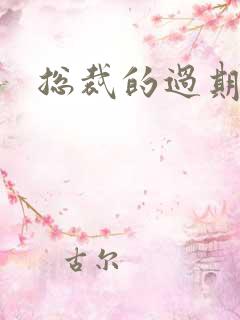 总裁的过期情人