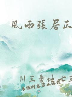 风雨张居正下载