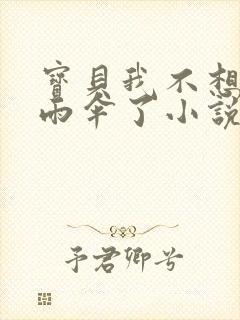 宝贝我不想带小雨伞了小说