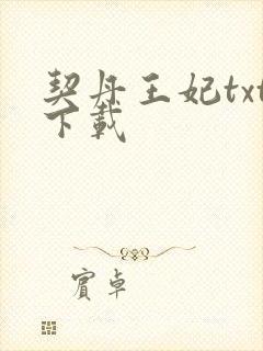 契丹王妃txt下载
