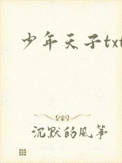 少年天子txt