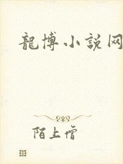 龙博小说网