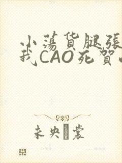 小荡货腿张开让我CAO死贺峻霖