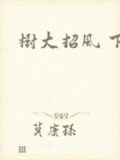 树大招风 下载