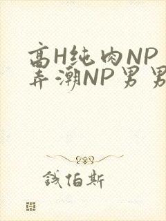 高H纯肉NP 弄潮NP男男