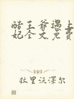 酷王爷遇上穿越妃全文免费阅读