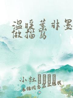 温暖叶非墨车内做描写