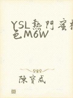 YSL热门蜜桃色M6W