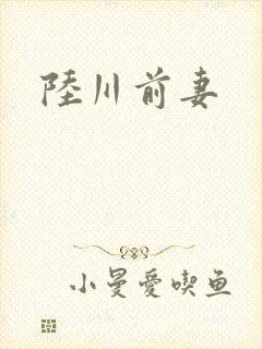 陆川前妻