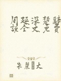 周延深楚辞的小说全文免费阅读