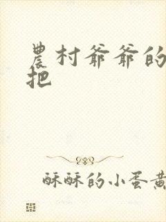 农村爷爷的大几把