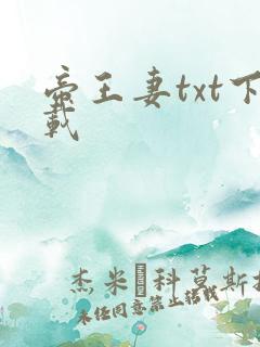帝王妻txt下载