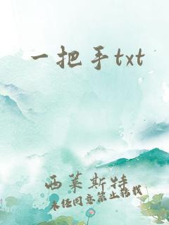 一把手txt