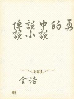 传说中的勇者传说小说