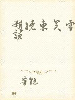 赵晓东吴雪晴小说