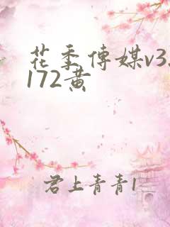 花季传媒v3.172黄