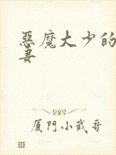 恶魔大少的小鲜妻