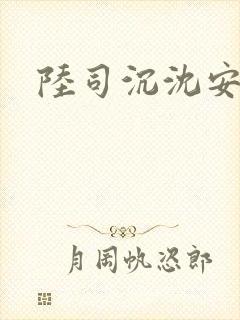 陆司沉沈安