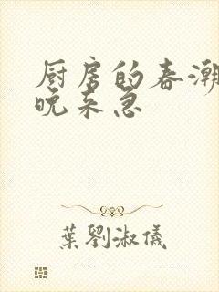 厨房的春潮带雨晚来急