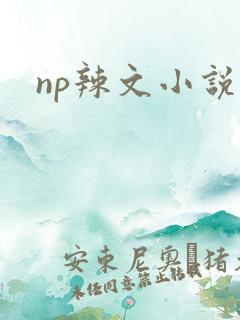 np辣文小说