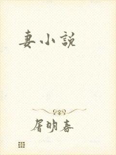妻小说