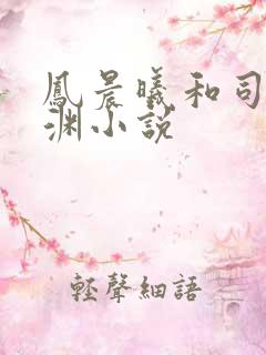 凤晨曦和司鸿颜渊小说