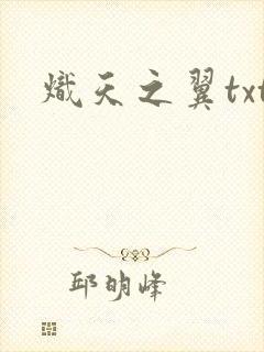 炽天之翼txt