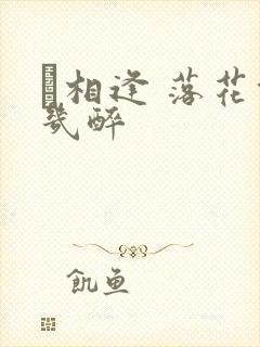 囍相逢 落花能几醉