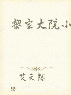 黎家大院小说