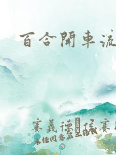 百合开车流污水